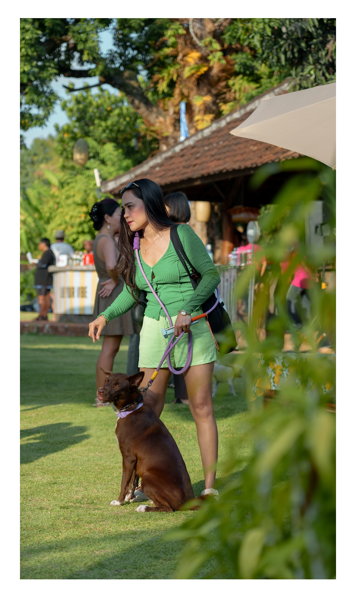Guest enjoying the market lawn with her dog