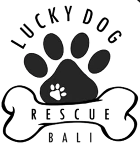 Lucky Dog Rescue